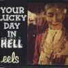 Eels - Album Your Lucky Day in Hell