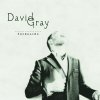 David Gray - Album Foundling