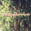 Sheryn Regis - Album Starting Over Again