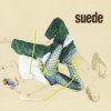 Suede - Album Lazy