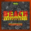 Beachbraaten - Album Prospects