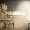 Nneka - Album Shining Star