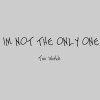 Two Worlds - Album I'm Not the Only One (Acoustic Version)