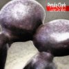 http://s.mxmcdn.net/images-storage/albums/6/3/3/6/4/4/27446336.jpg