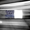 David Gray - Album Shine