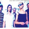 The Cardigans - Album Your New Cuckoo