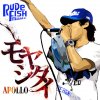 APOLLO - Album モヤシタイ