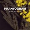 Phantogram - Album Running From the Cops