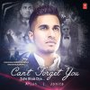 Arjun & Jonita - Album Can't Forget You / Tujhe Bhula Diya