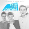 Forever in Your Mind - Album Sweet Little Something