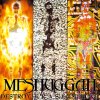 Meshuggah - Album Destroy Erase Improve