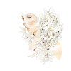 米津玄師 - Album Santa Maria