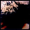 flora cash - Album In the Winter
