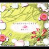 柴咲コウ - Album 思い出だけではつらすぎる