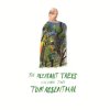 Tom Rosenthal - Album The Pleasant Trees, Vol. 2
