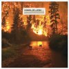 Kings of Leon - Album Notion