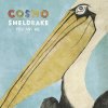 Cosmo Sheldrake - Album Pelicans We