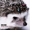http://s.mxmcdn.net/images-storage/albums/6/6/7/6/3/0/27036766.jpg