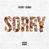 Rick Ross feat. Chris Brown - Album Sorry
