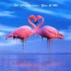 http://s.mxmcdn.net/images-storage/albums/6/7/1/1/2/6/11621176.jpg