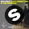 San Holo feat. The Nicholas - Album Can't Forget You