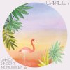 James Vincent McMorrow - Album Cavalier