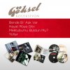 Göksel - Album Göksel Koleksiyon (Bende Bi Aşk Var / Hayat Rüya Gibi / Mektubumu Buldun Mu? / Yollar)