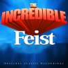 Feist - Album The Incredible - Feist