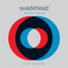 Suedehead - Album Lying in Bed