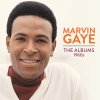 http://s.mxmcdn.net/images-storage/albums/6/9/4/7/7/3/31377496.jpg