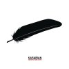 Kasabian - Album Man of Simple Pleasures