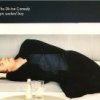 The Divine Comedy - Album Gin Soaked Boy
