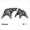 Seekae - Album Sound of Trees Falling On People