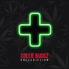 Collie Buddz - Album Prescription