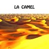 http://s.mxmcdn.net/images-storage/albums/7/1/3/1/4/0/27041317.jpg