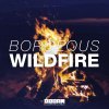 Borgeous - Album Wildfire