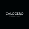 Calogero - Album Le saut de l'ange