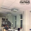 Den svenska björnstammen - Album Svalkar Vinden