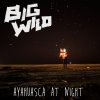 Big Wild - Album Ayahuasca at Night