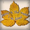 Danny & The Veetos - Album I Am Afraid