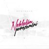 Reginald - Album Nehledám Porozumění