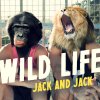 Jack & Jack - Album Wild Life