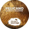 Angstrom & Aalberg - Album Pelicano