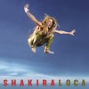 Shakira feat. Dizzee Rascal - Album Loca (JS Mix)