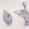 http://s.mxmcdn.net/images-storage/albums/7/3/7/0/1/4/27410737.jpg