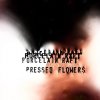 Porcelain Raft - Album Pressed Flowers