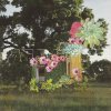 MEDICINE - Album Home Everywhere