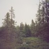Gidge - Album Autumn Bells