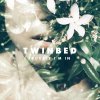 Twinbed - Album Trouble I'm In