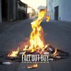 Fall Out Boy - Album My Songs Know What You Did In The Dark (Light Em Up)